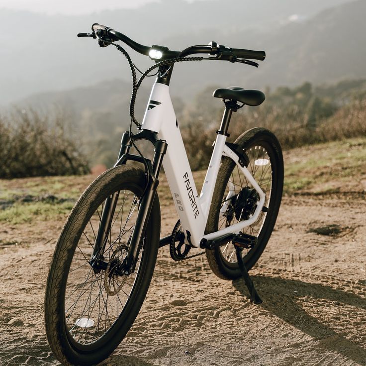 The best cargo e-bikes have mounting points to expand your cargo capacity